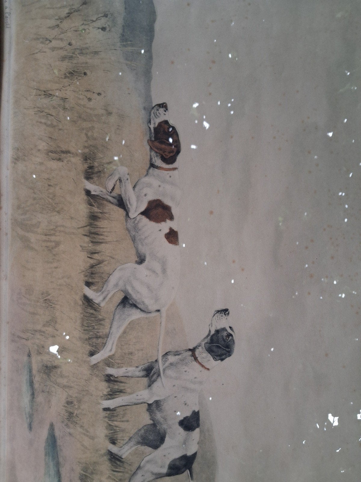 Vintage print van jachthonden, gesigneerd en genummerd, Ophalen, Print, Prent, Ingelijst
