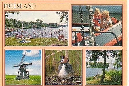 Ansichtkaart 	Friesland	5-luik	Molen, Verzenden, 1980 tot heden, Gelopen, Friesland