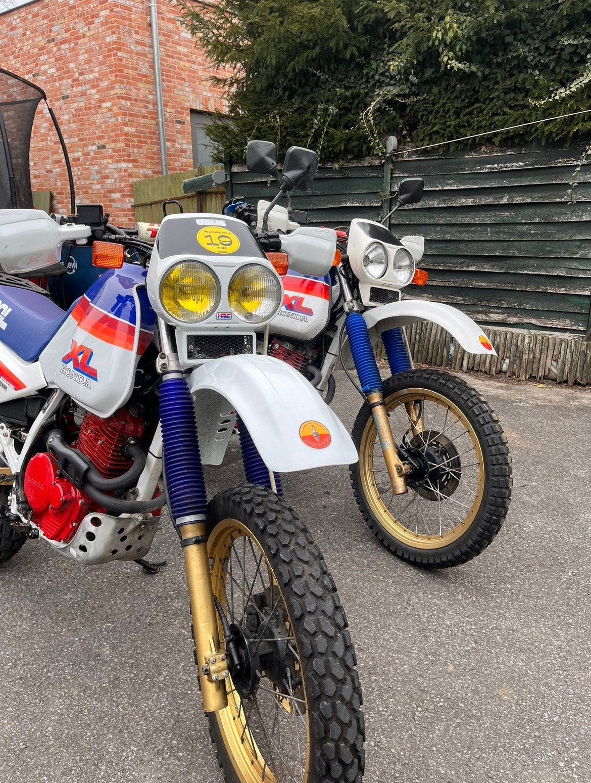 Honda Xl600lm, Motoren, Onderdelen | Honda, Ophalen of Verzenden, Nieuw