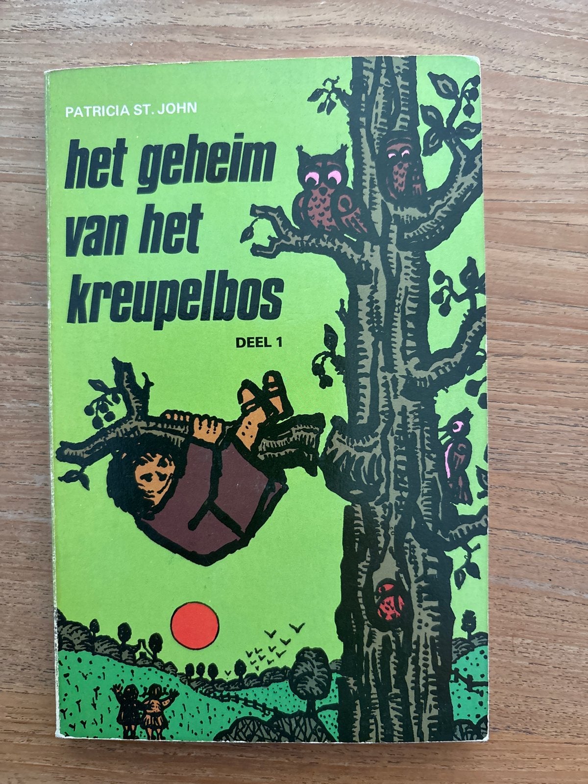 Het Geheim van het Kreupelbos - Deel 1 (Patricia St. John), Ophalen of Verzenden, Gelezen, Fictie algemeen