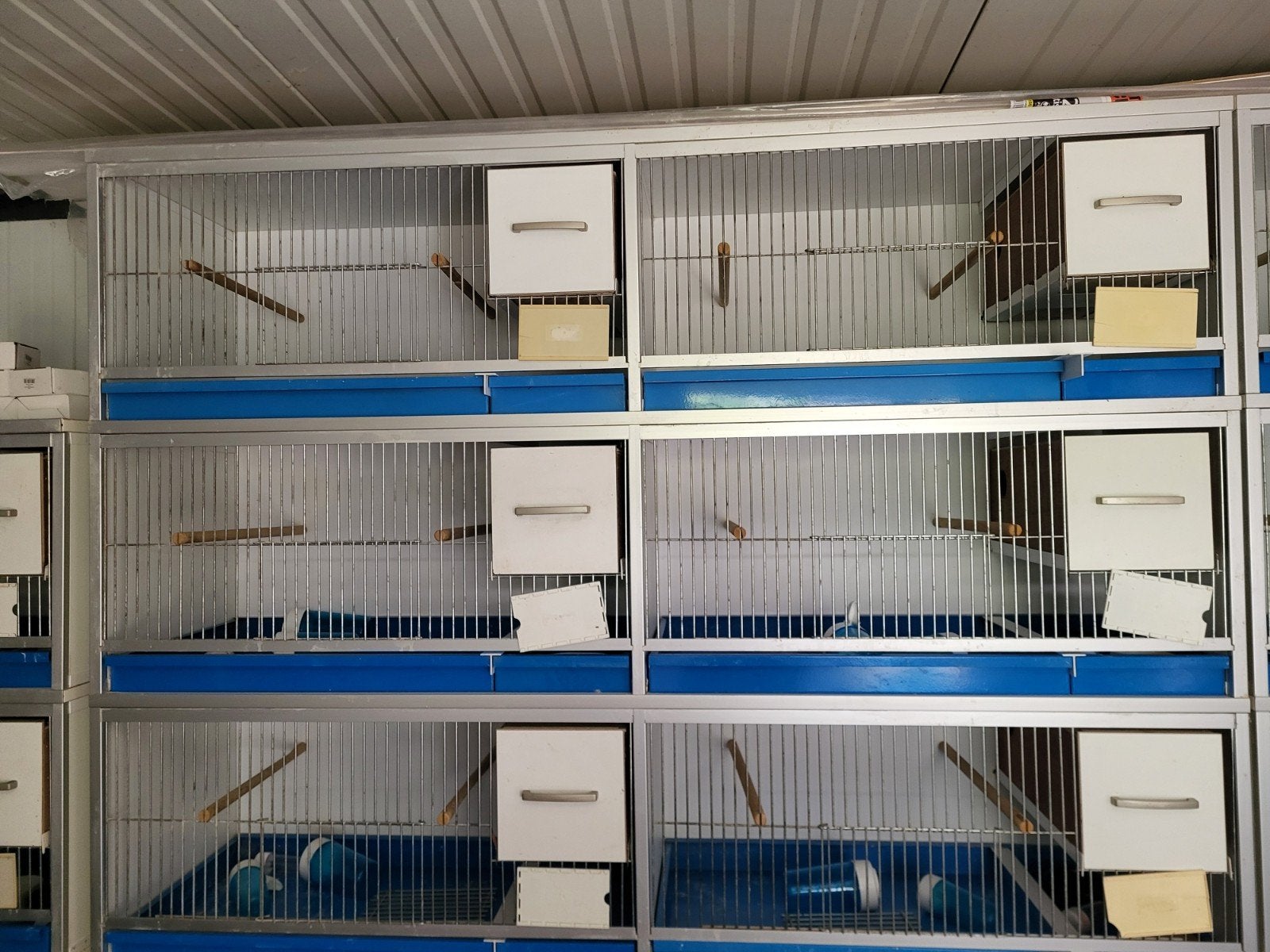 kweekkooien, Dieren en Toebehoren, Vogels | Hokken en Kooien, Ophalen, Gebruikt, Overige materialen, Broedkooi of Kweekkooi