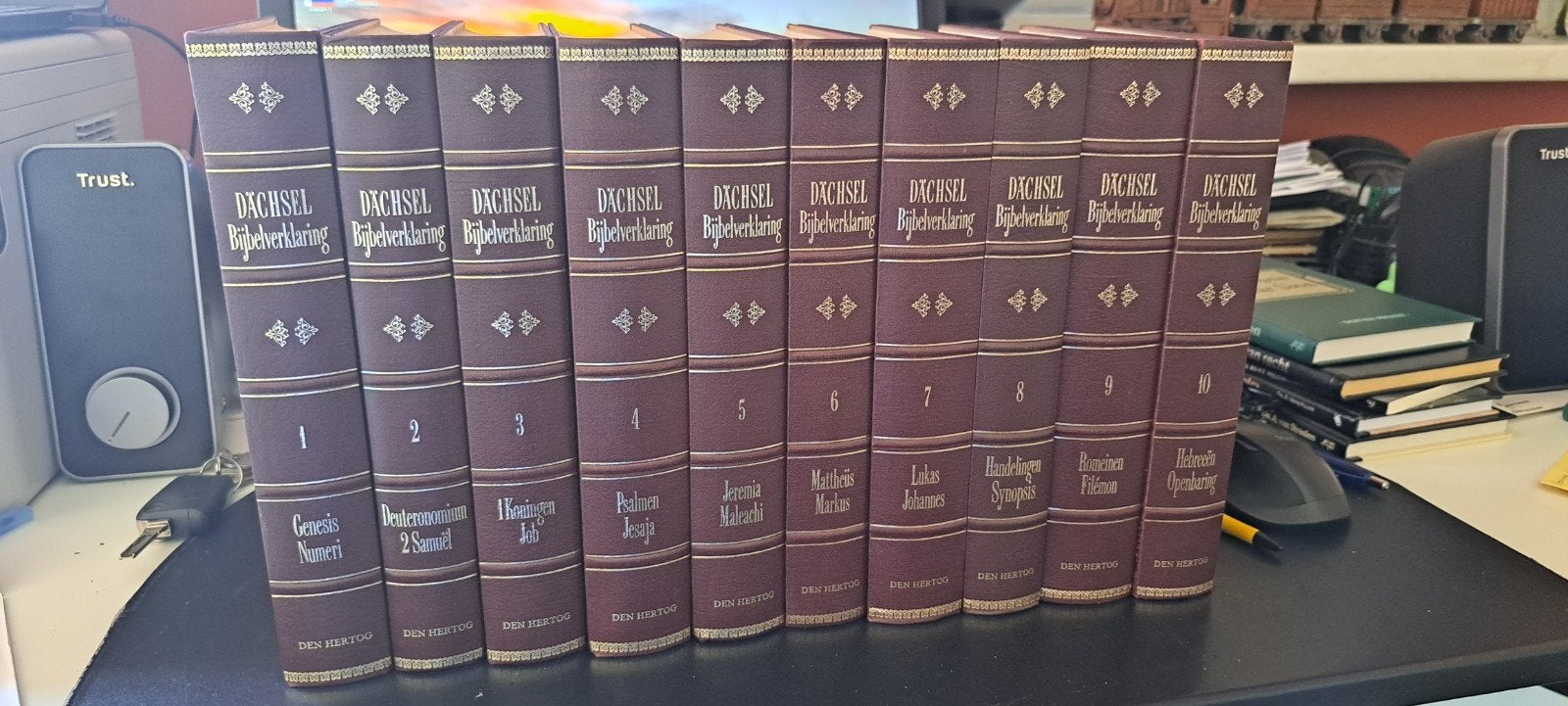 Dachsel Bijbelverklaring compleet, Gelezen, Christendom | Protestants, Ophalen of Verzenden, Dachsel