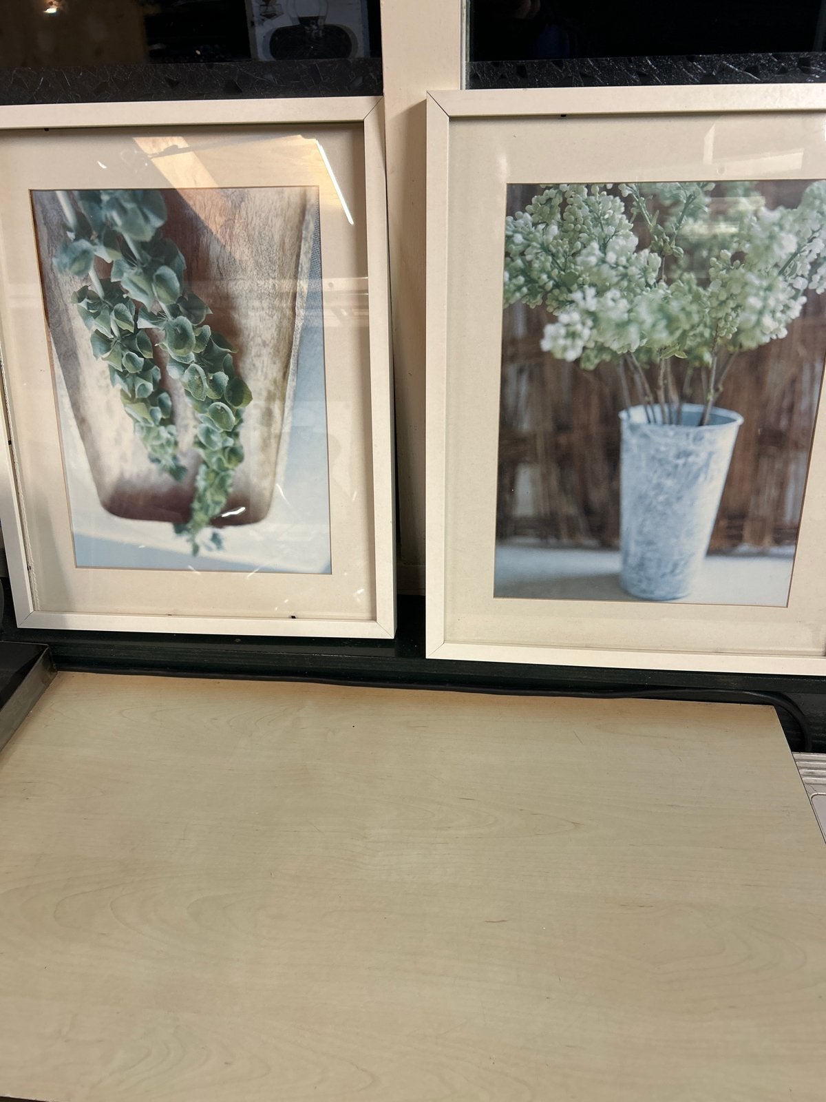 Twee ingelijste schilderijen met planten, Ophalen, 50 – 75, Minder dan 50 cm, Gebruikt