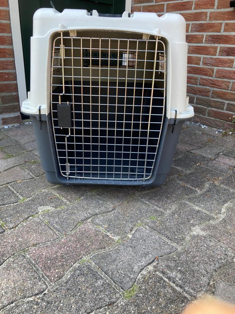 Te koop transportbox Nomad L, Ophalen, Zo goed als nieuw