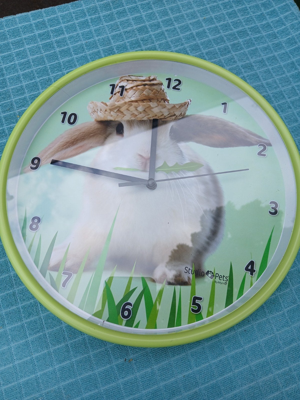 tk super schattig konijn wandklok, Ophalen, Wandklok, Analoog, Stil uurwerk