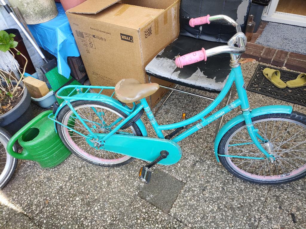 20 inch ALPINA kinder fiets, Fietsen en Brommers, Ophalen, Gebruikt, 20 inch of meer