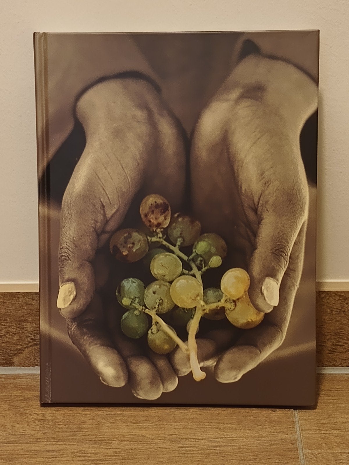 Boek - Albert Heijn - de wereld van wijn, Ophalen of Verzenden, Nieuw
