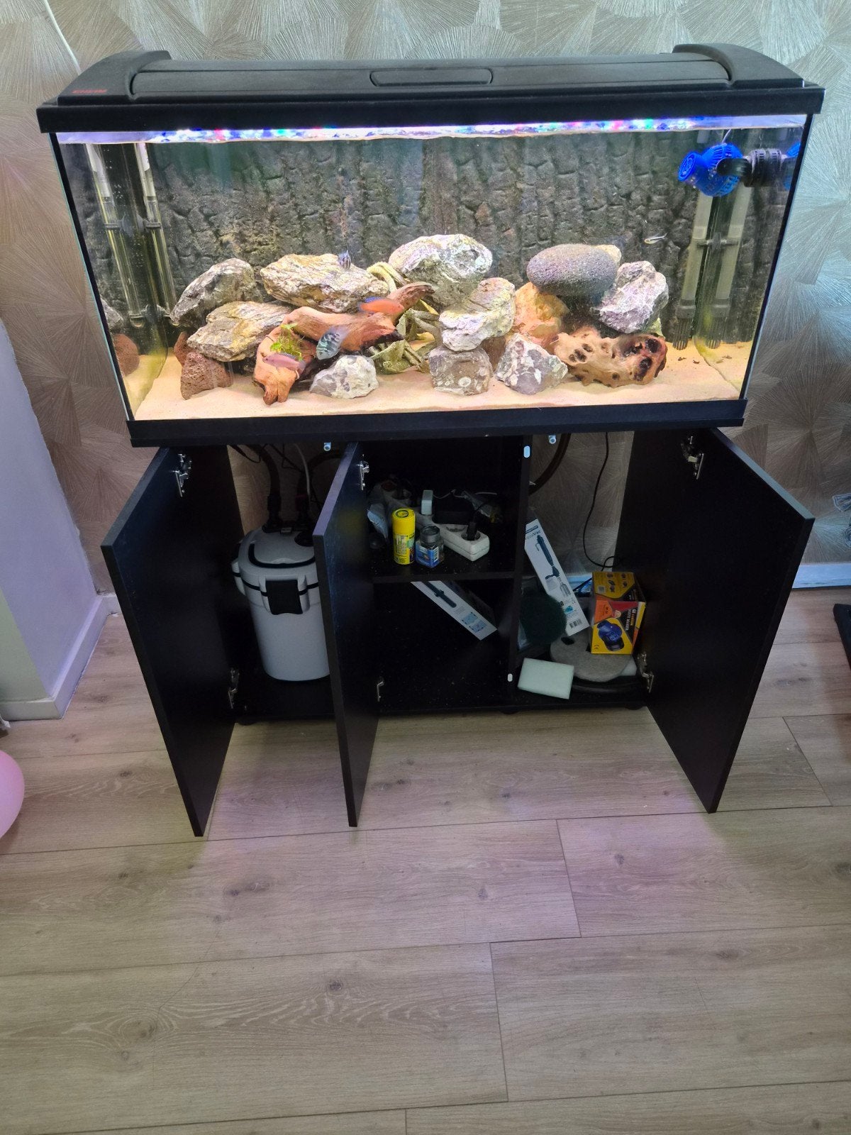 aquarium compleet, Ophalen, Gebruikt, Inclusief vissen, Gevuld zoetwateraquarium