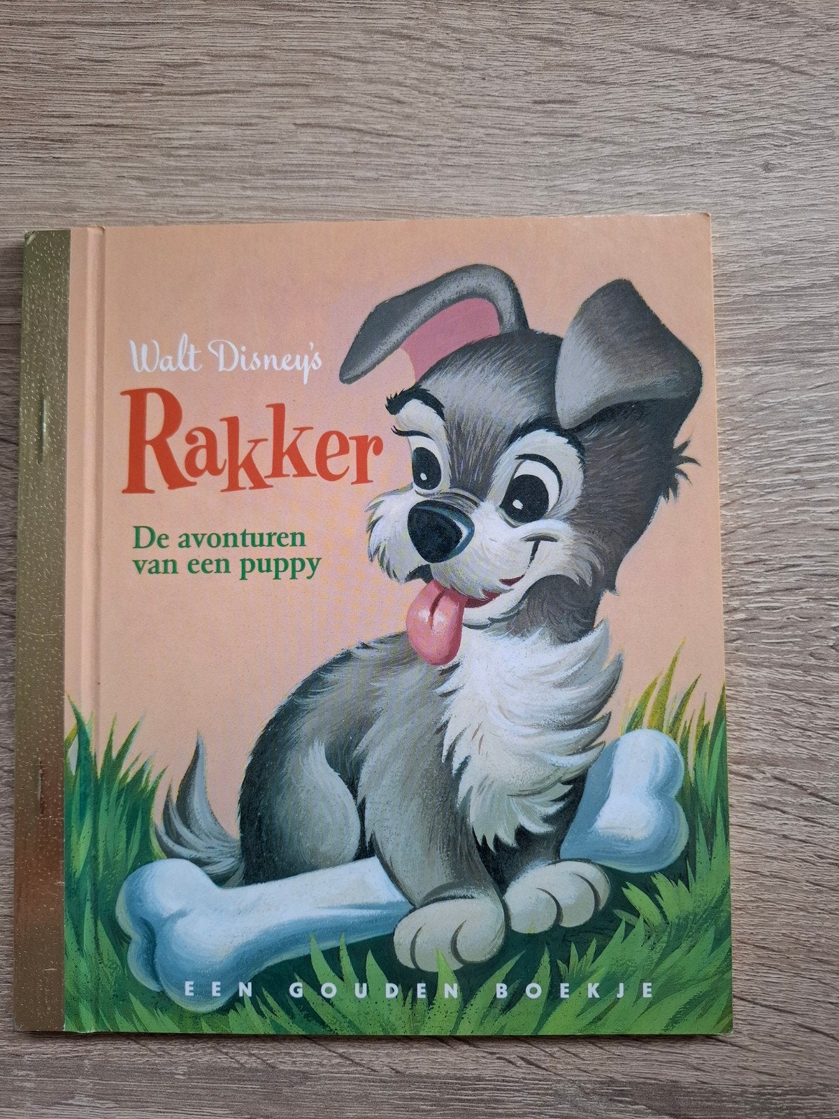 Walt Disney's Rakker - Een Gouden Boekje, Ophalen of Verzenden