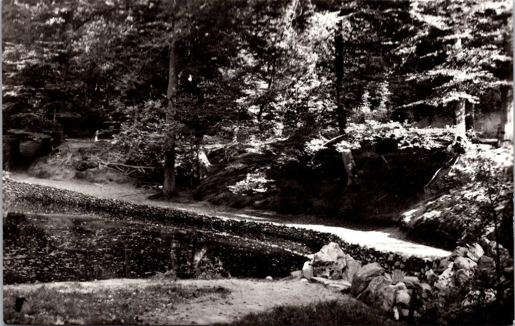 Oosterbeek - Vijver Mariëndaal (1976), Verzenden, 1960 tot 1980, Gelopen, Gelderland