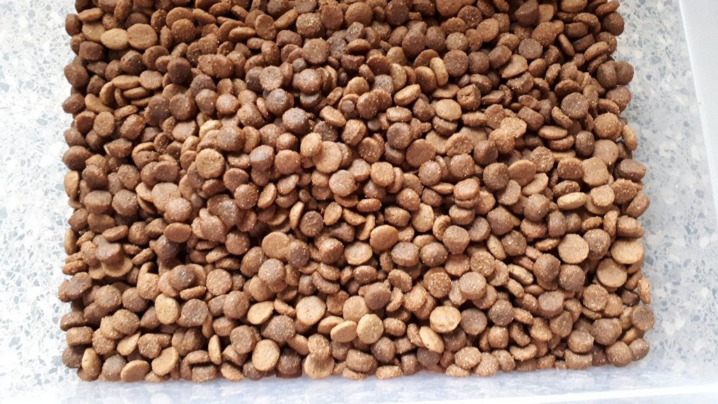 hondenbrokken, Dieren en Toebehoren, Dierenvoeding, Ophalen of Verzenden, Hond