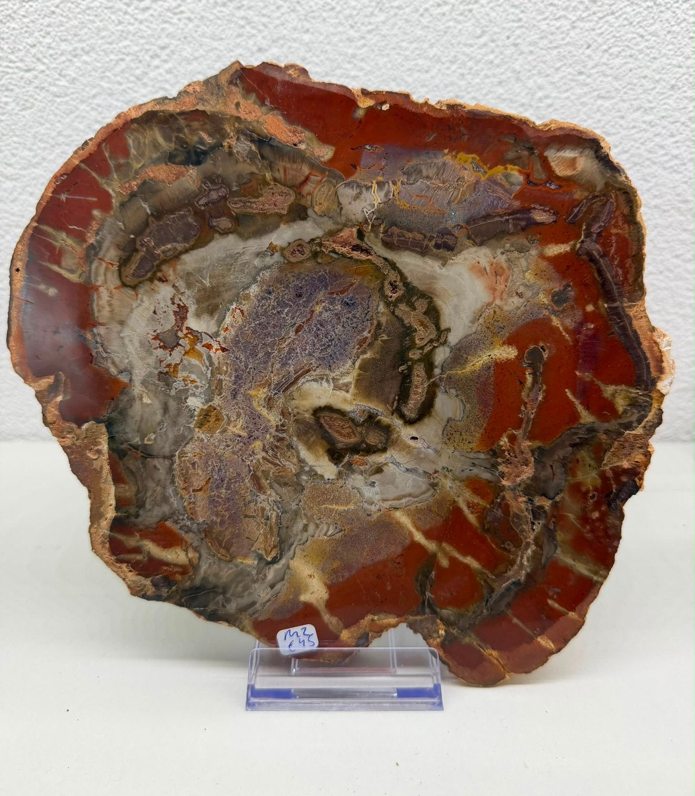 Versteend hout, Ophalen of Verzenden