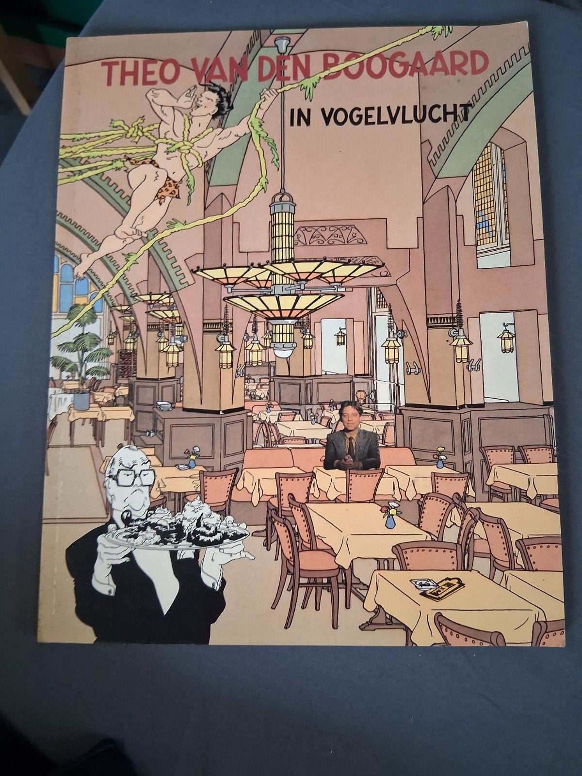 Theo van den Boogaard - In Vogelvlucht, Boeken, Eén stripboek, Ophalen of Verzenden, Gelezen, Theo van den Boogaard