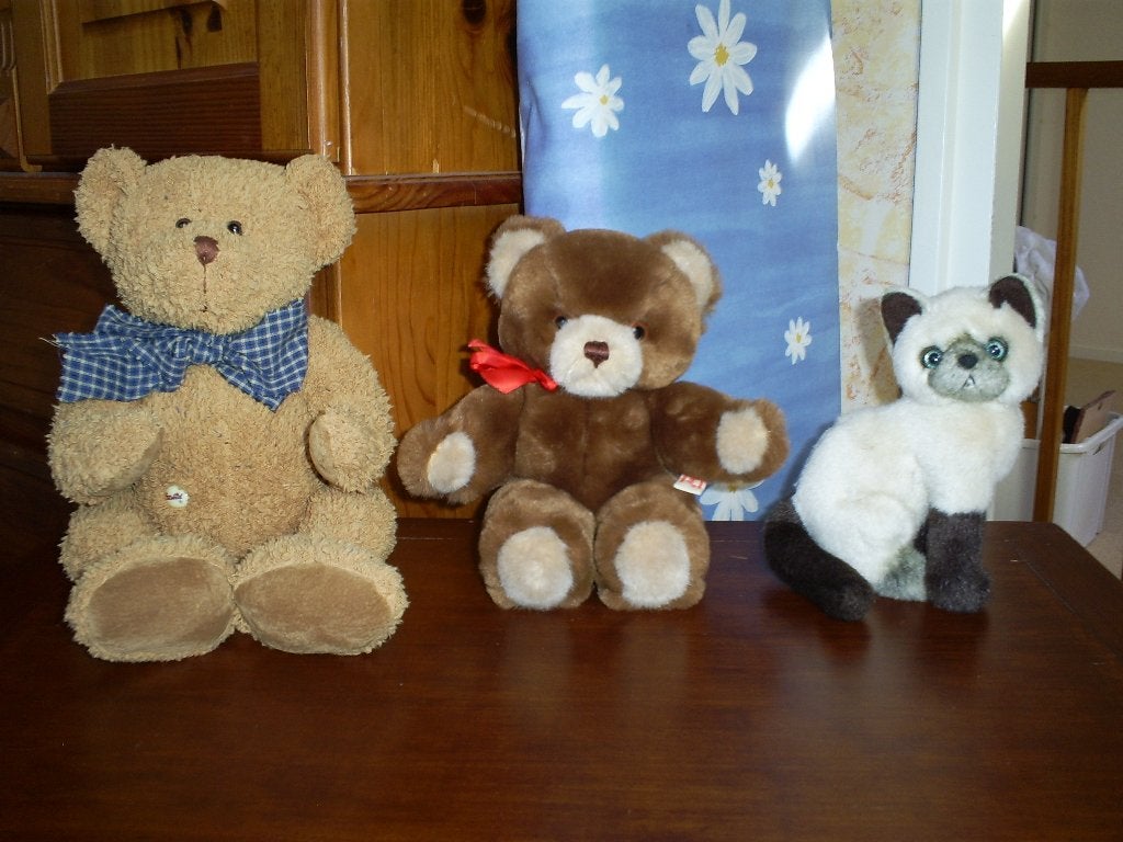 Knuffels beren en poes 3 stuks, Ophalen of Verzenden