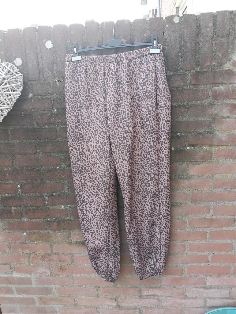 Dames Leopardprint broek, Ophalen of Verzenden, Zo goed als nieuw, Bruin, Lang