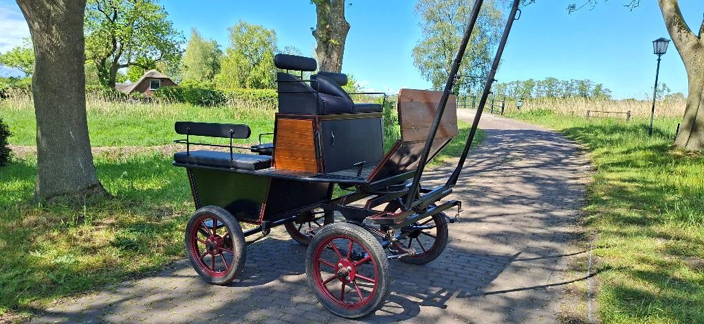 Recreatiewagen / koets - Geremd - enkel en tweespan, Gebruikt, Overige typen, Paard
