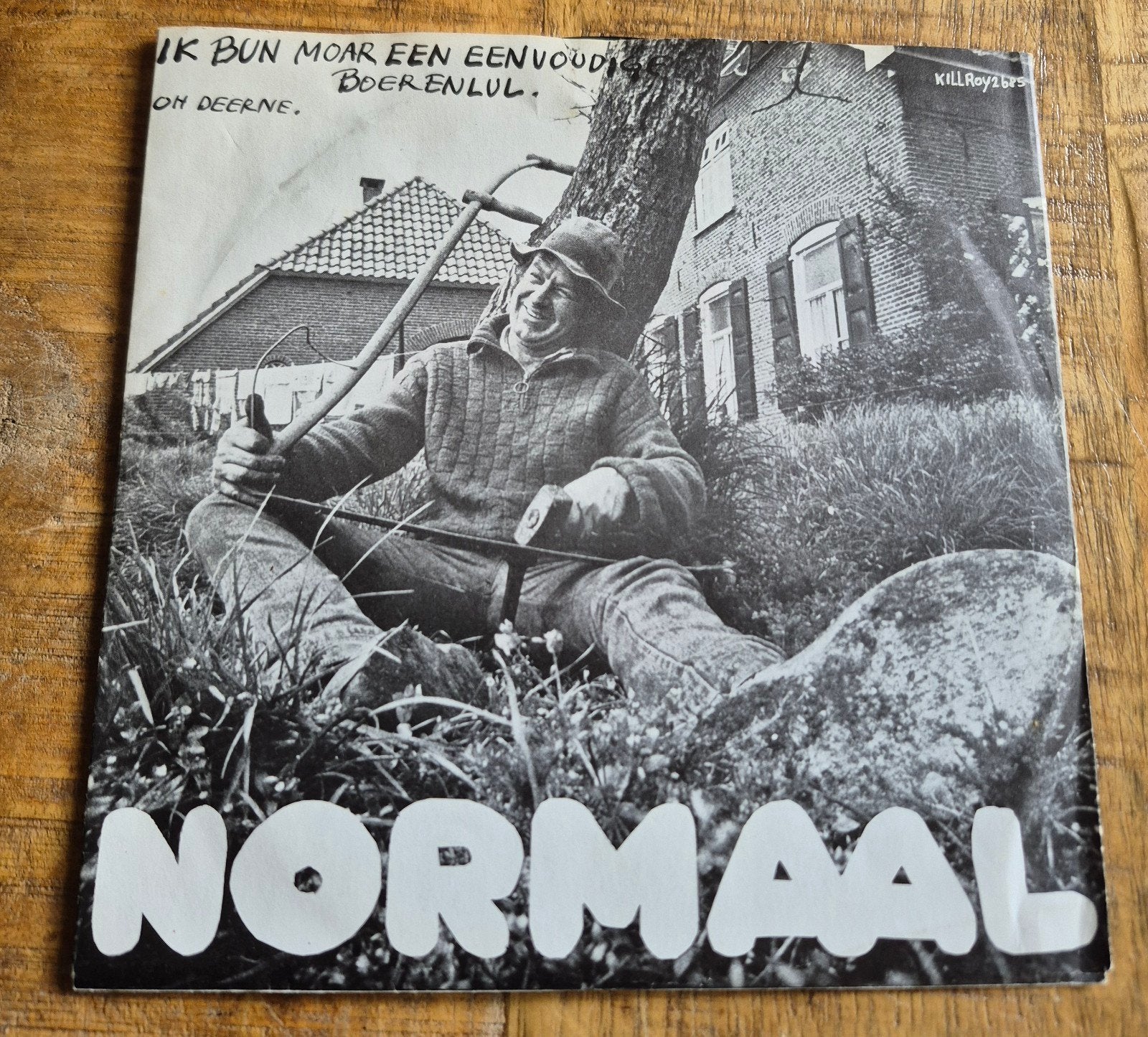 Normaal - Ik bun moar een eenvoudige boerenlul (7 inch), Ophalen of Verzenden, 7 inch
