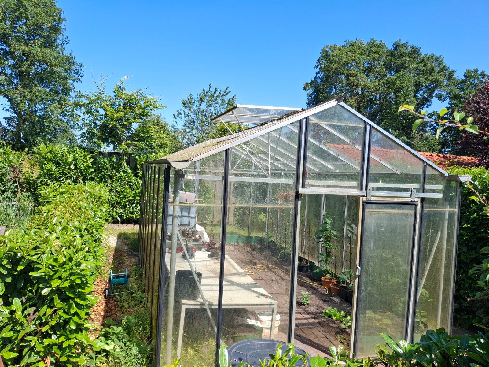 Ruime kas 6x3,5m met watertank en 2 te openen ramen, Ophalen of Verzenden