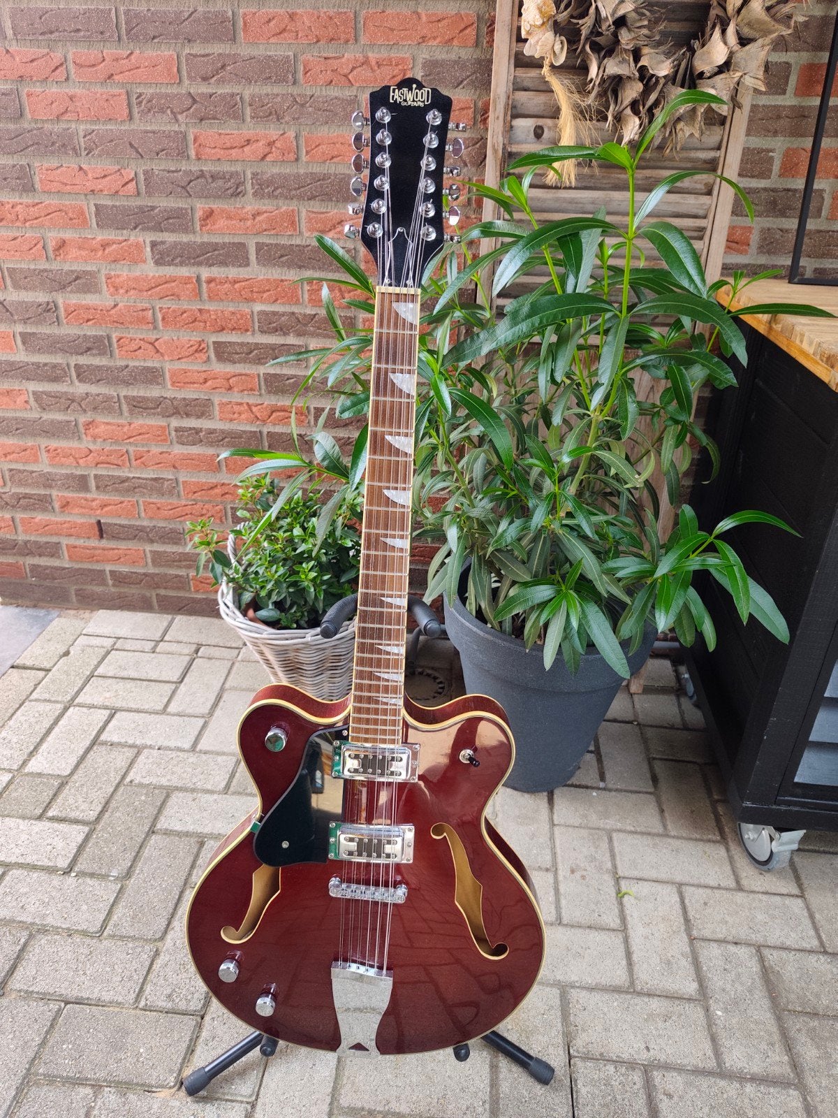 Eastwood Classic 12 String. Linkshandig, lefty., Muziek en Instrumenten, Snaarinstrumenten | Gitaren | Elektrisch, Ophalen, Zo goed als nieuw