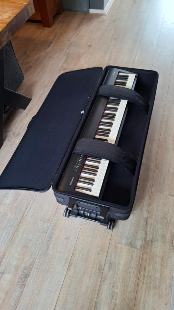 Roland elektronische piano. (Defect) + Gator case (verkocht), Muziek en Instrumenten, Keyboards, Ophalen of Verzenden, Gebruikt
