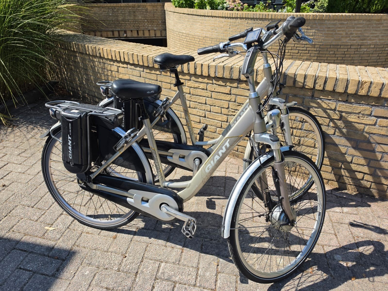 Set nieuw model giant dubbele accu 36 v, 51 tot 55 cm, Ophalen, Zo goed als nieuw, Overige merken