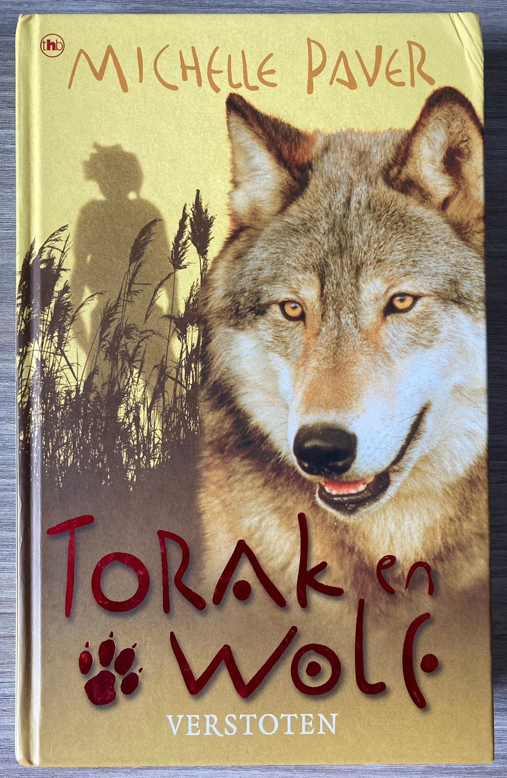 Torak en Wolf 4 VERSTOTEN - M. Paver, Boeken, Fantasy, Zo goed als nieuw, Ophalen of Verzenden