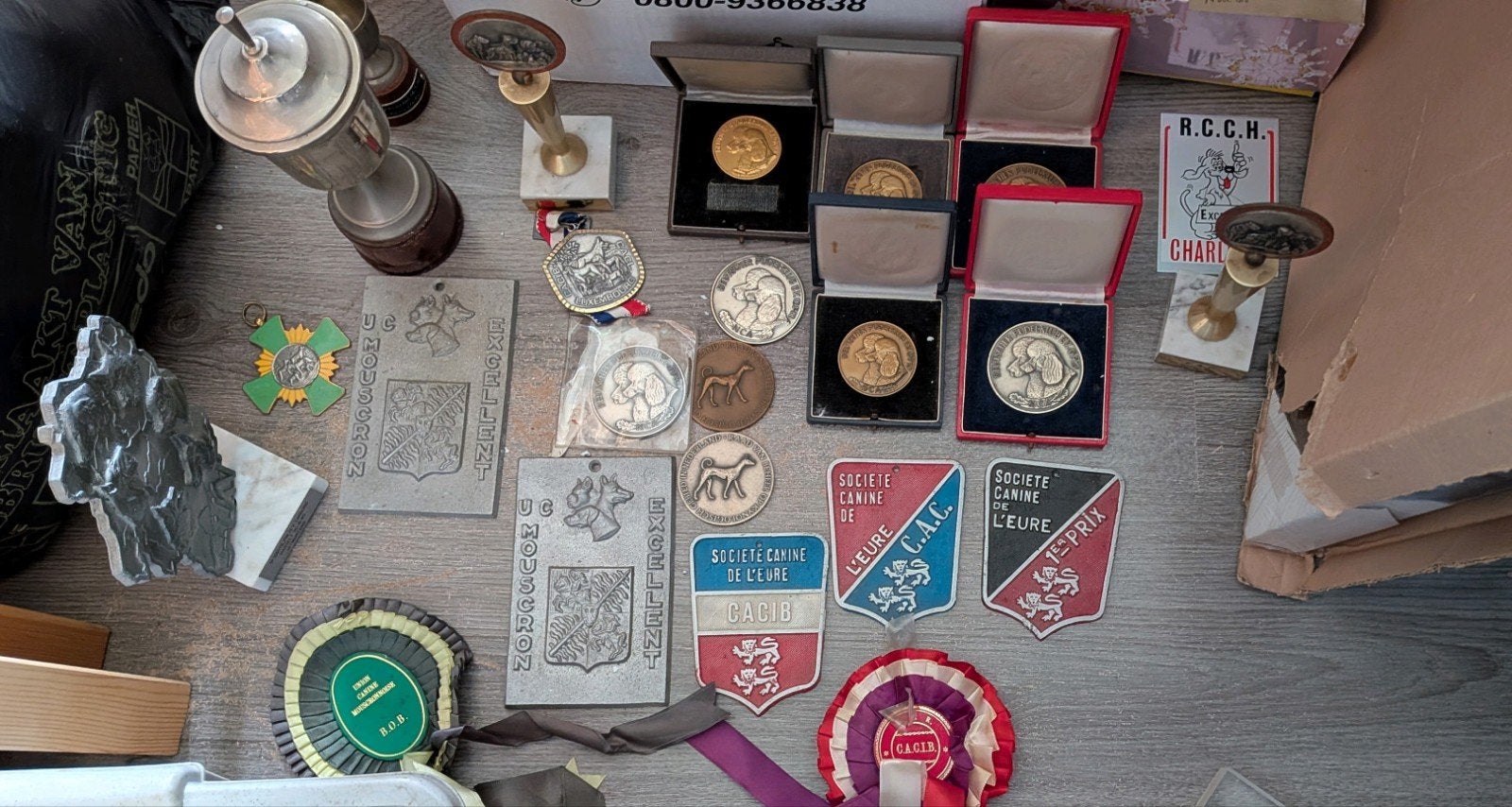 Poedel Medaille, troffee, Jaren '70/'80 - Honden Show Prijs, Ophalen, Overige materialen