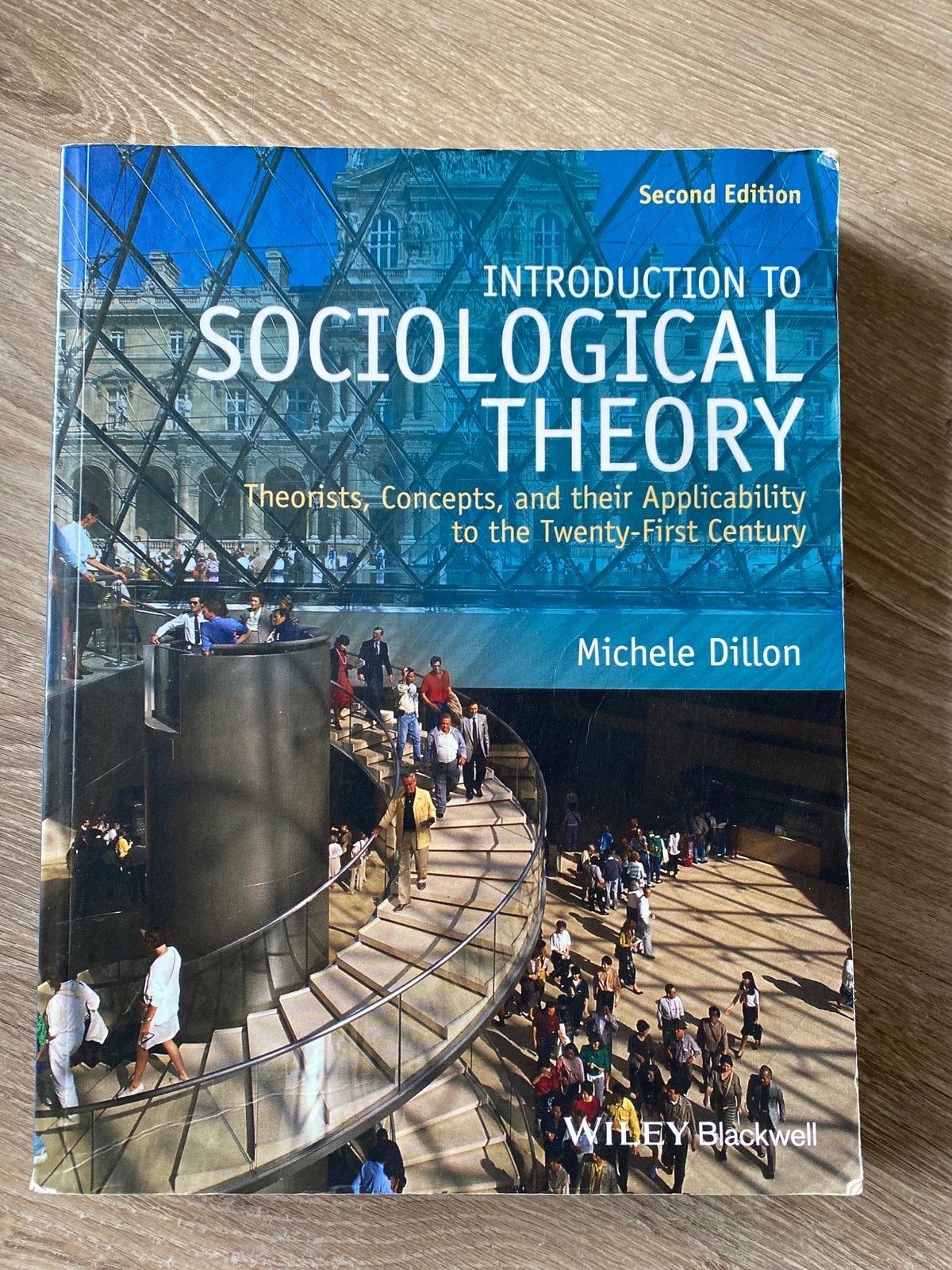 Introduction to Sociological Theory - Michele Dillon, Ophalen of Verzenden, Gamma, Gelezen, HBO