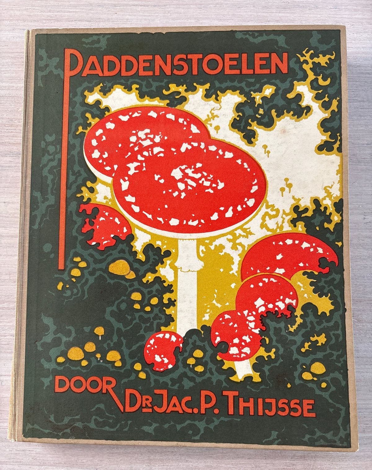Paddenstoelen door Dr. Jac. P. Thijsse - Zeldzaam boek, Ophalen of Verzenden, Gelezen, Natuur algemeen