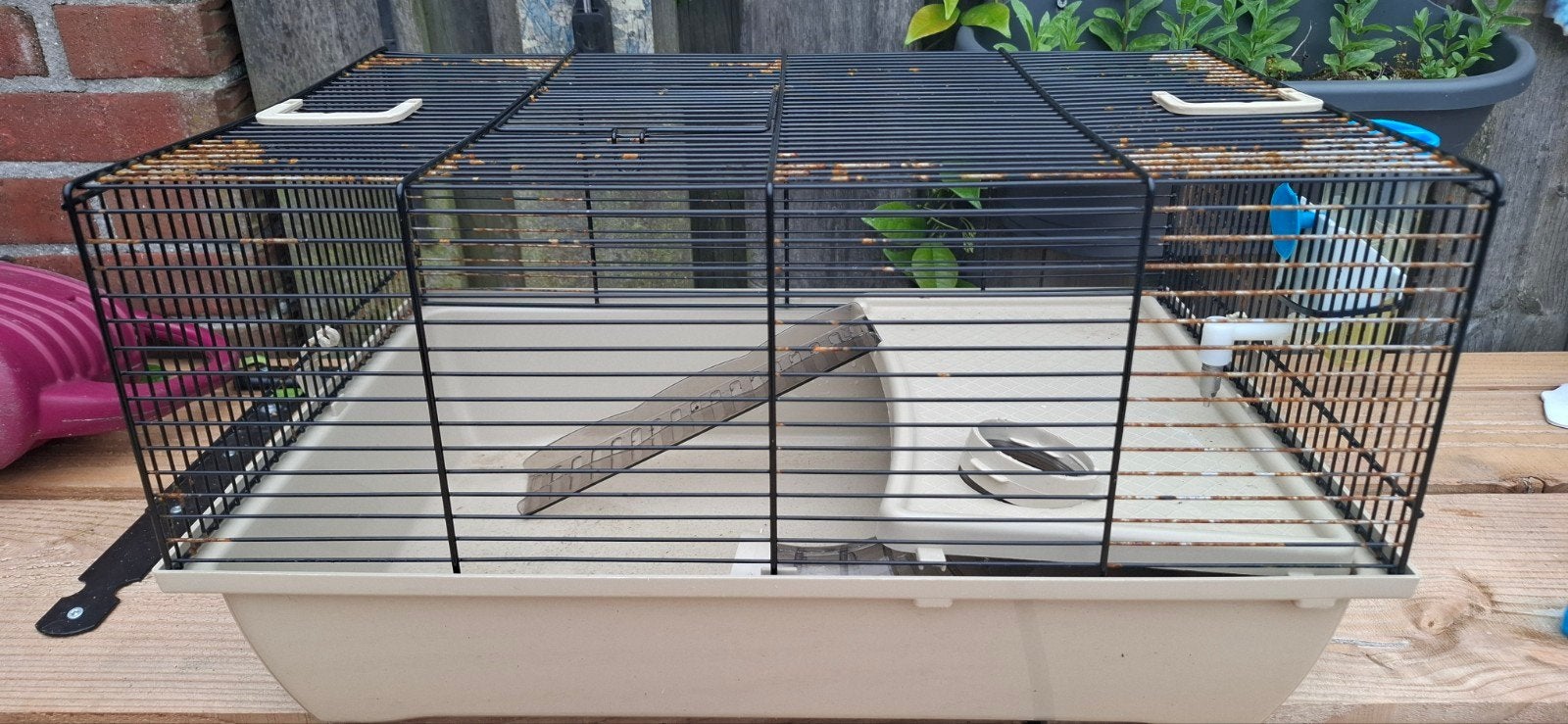 Hamster kooi, Dieren en Toebehoren, Kooi, Minder dan 75 cm, Hamster, Ophalen