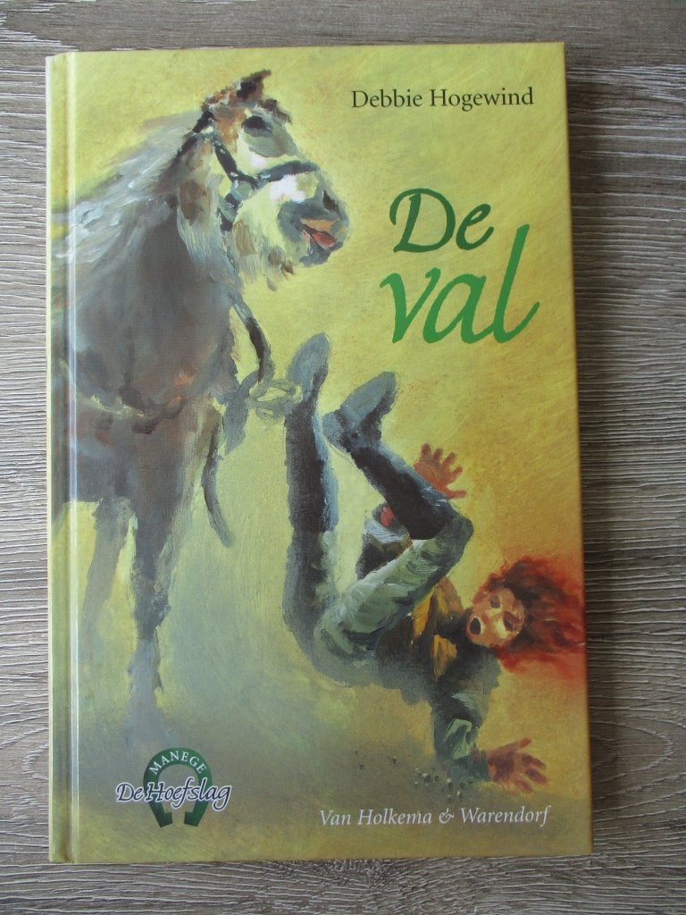De val - Debbie Hogewind, Boeken, Ophalen of Verzenden, Gelezen, Fictie algemeen