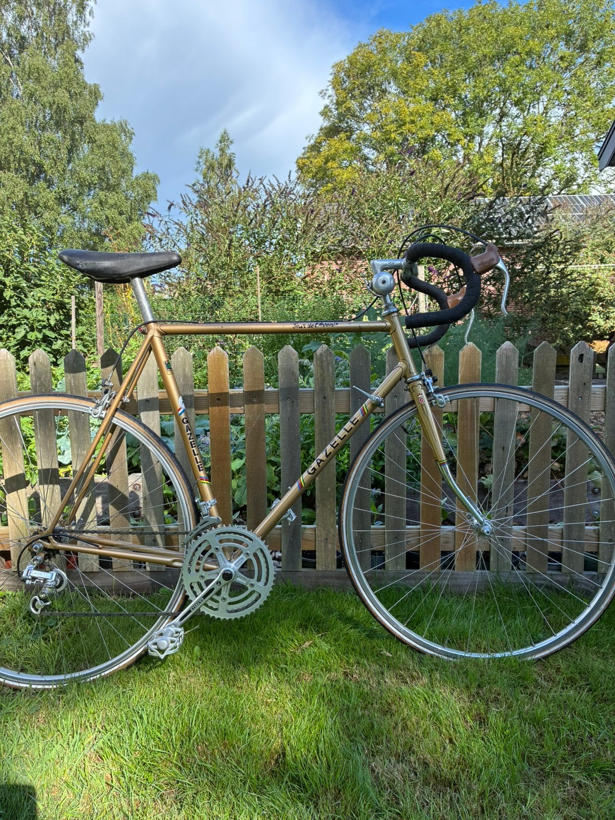 Vintage racefiets, Fietsen en Brommers, Ophalen, Zo goed als nieuw, Gazelle, 10 tot 15 versnellingen