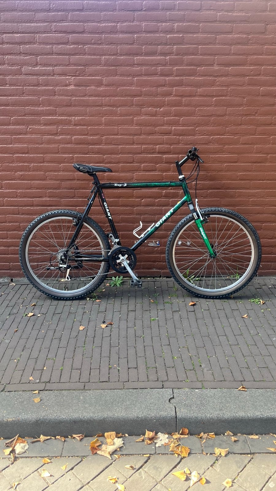 90s Giant Terrago S Mountainbike - Vintage MTB fiets retro, Ophalen, Gebruikt, Hardtail, Giant