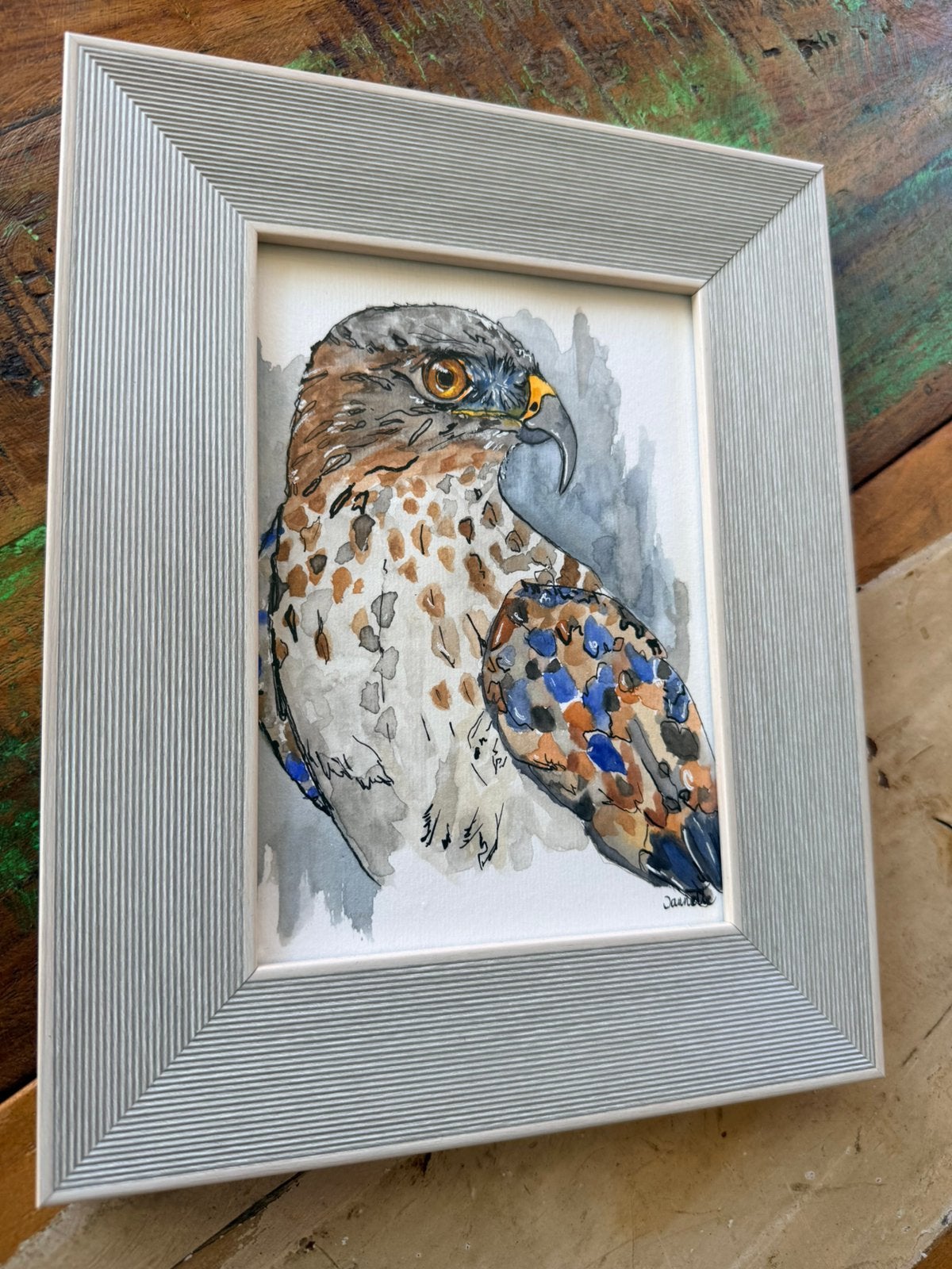 Roofvogel, Verzenden