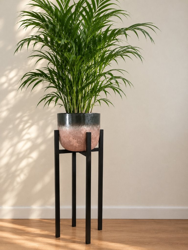 Grote bloempot met standaard, Tuin en Terras, Ophalen, Kunststof, 40 cm of meer, Rond