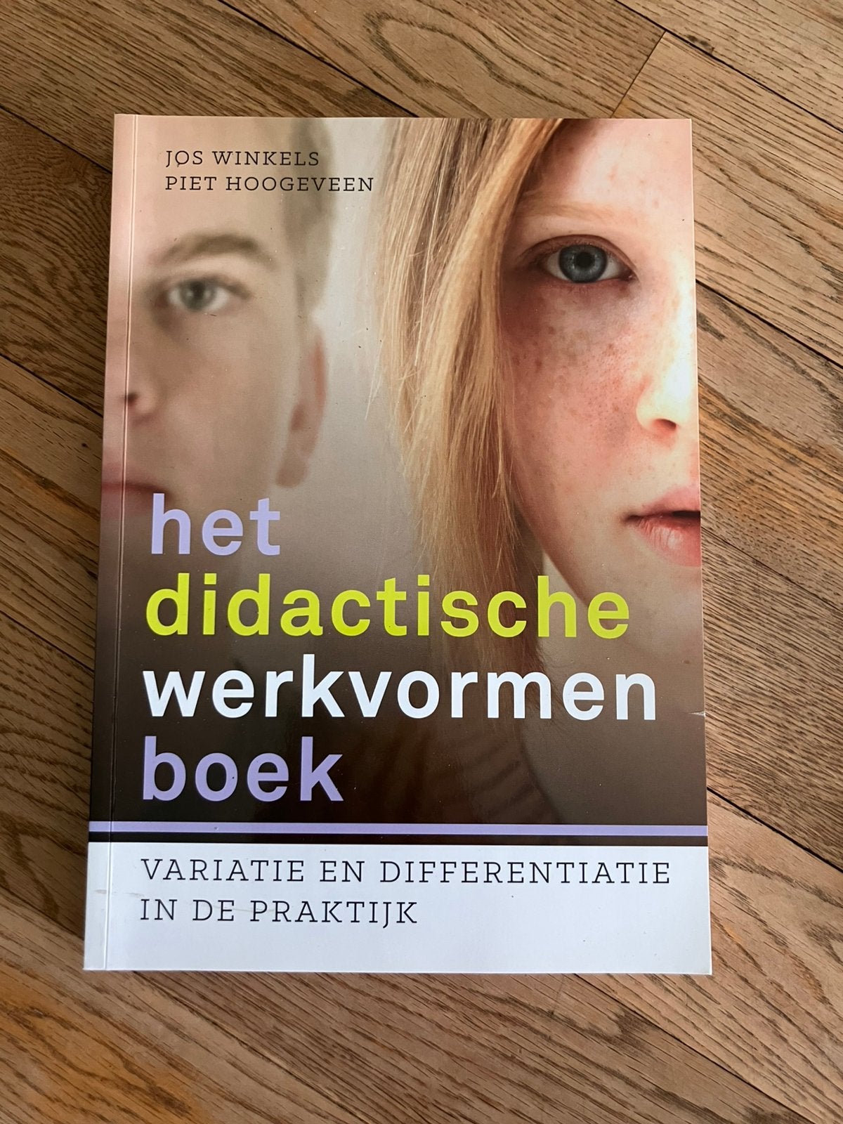Piet Hoogeveen - Het didactische werkvormenboek, Sociale wetenschap, Ophalen of Verzenden, Zo goed als nieuw, Piet Hoogeveen; Jos Winkels