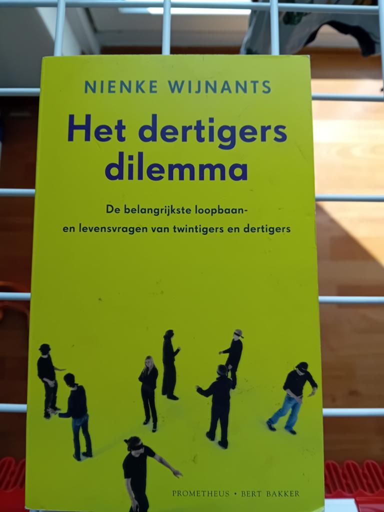 Nienke Wijnants - Dertigersdilemma, Ophalen of Verzenden, Ontwikkelingspsychologie, Nienke Wijnants, Zo goed als nieuw