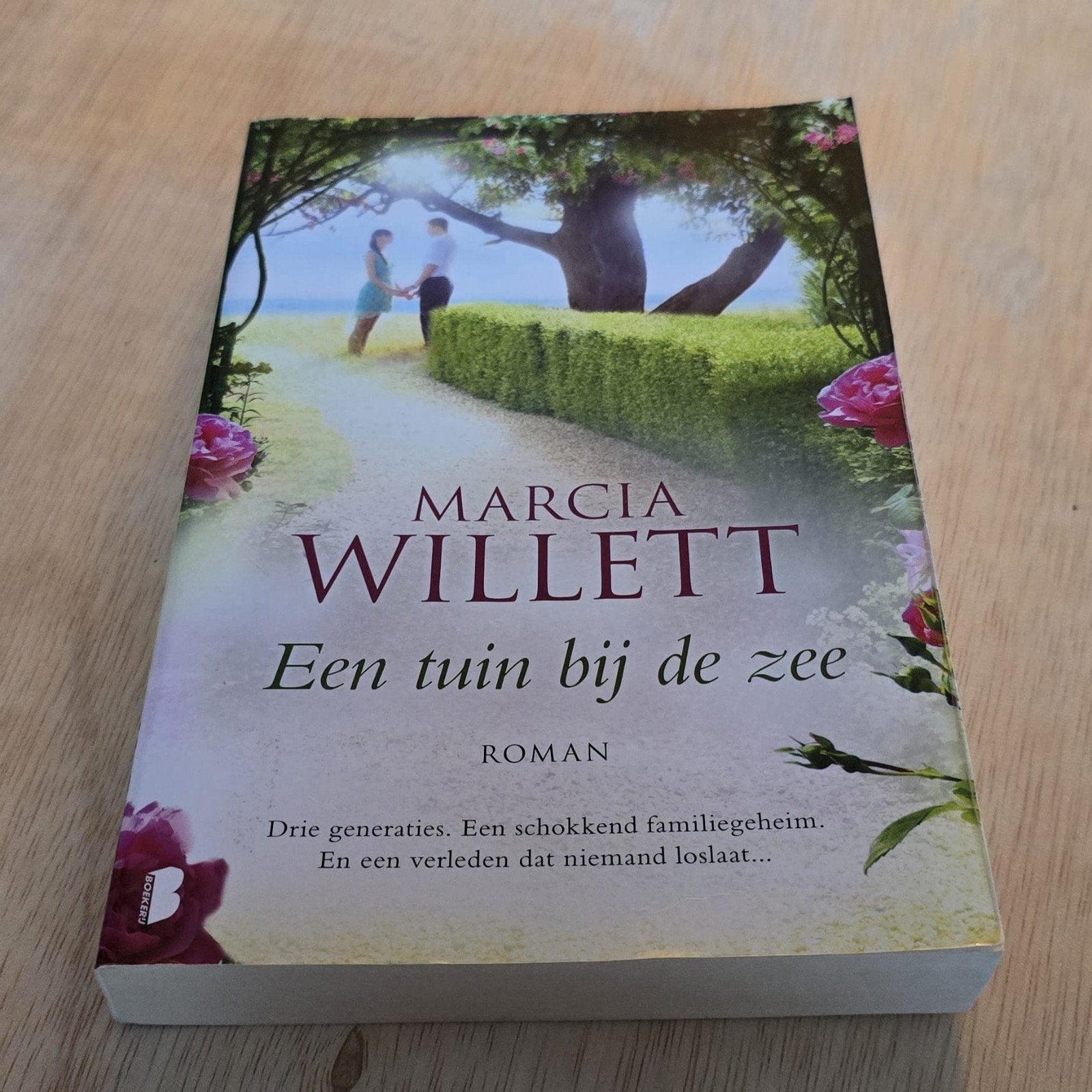 diverse boeken verkoop, Marcia Willett, Ophalen of Verzenden, Zo goed als nieuw