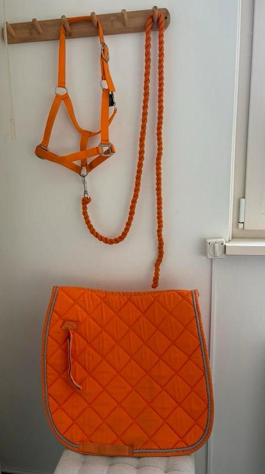 Oranje koningsdag halsterset en dekje cob, Dieren en Toebehoren, Ophalen of Verzenden, Gebruikt, Overige soorten