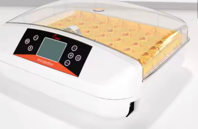 HHD 42S Automatische Broedmachine 42 Eieren + LED, Ophalen of Verzenden, Zo goed als nieuw, Broedmachine