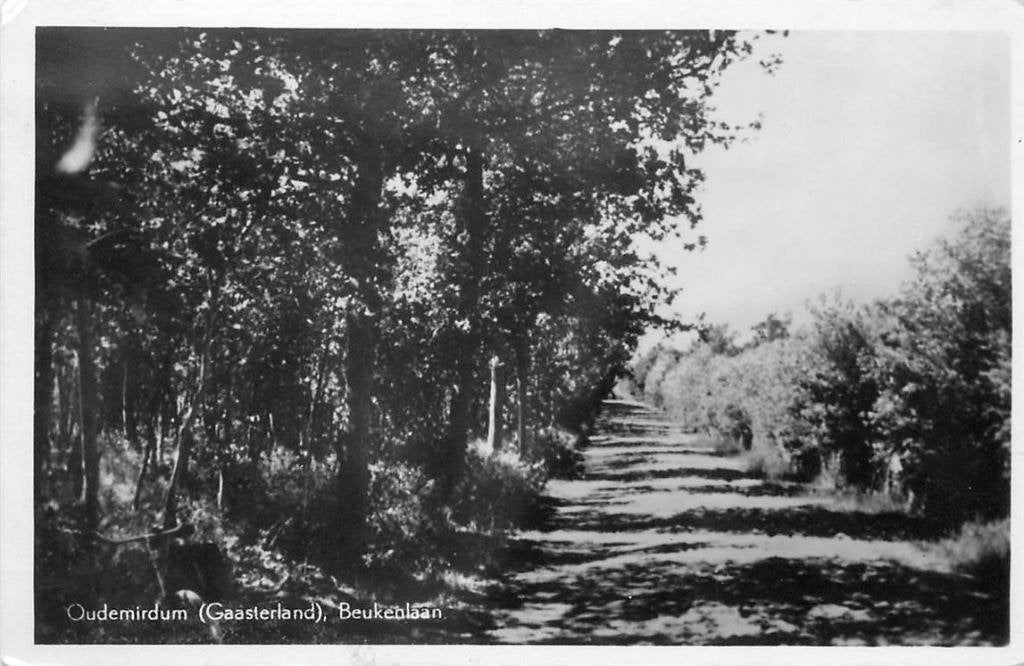 388-467-001 Oudemirdum Beukenlaan, Verzamelen, Ansichtkaarten | Nederland, Verzenden, Voor 1920, Friesland
