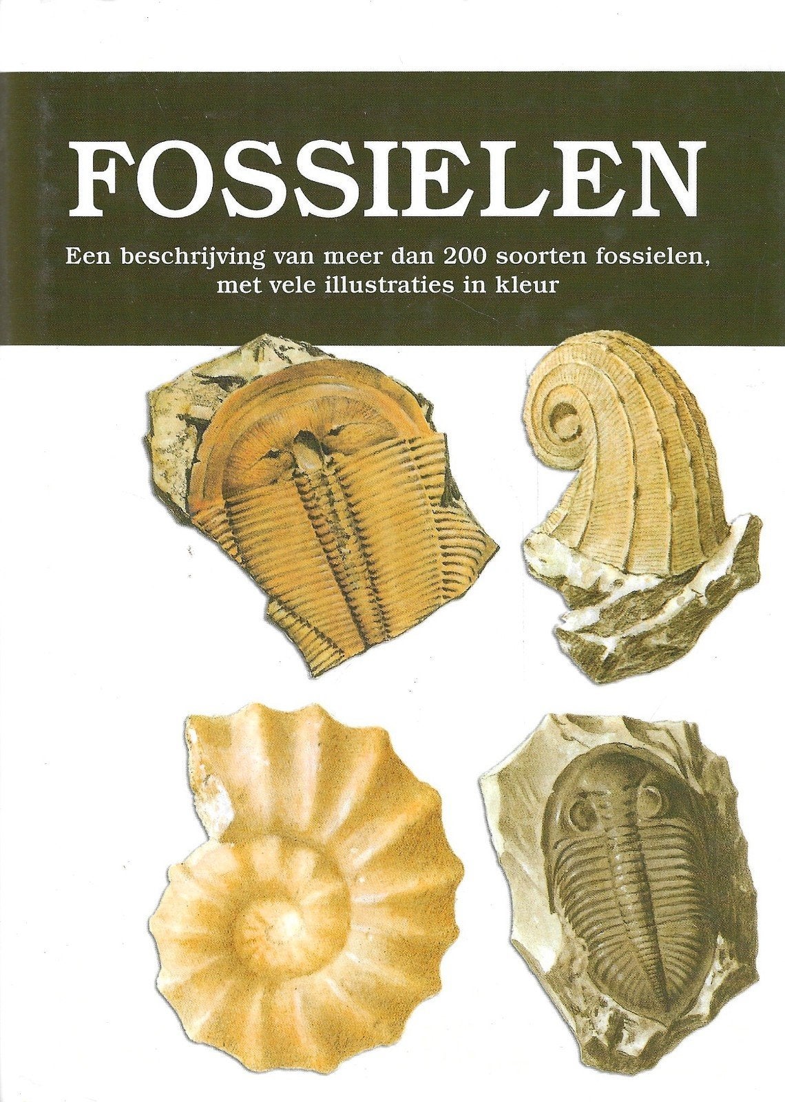 R. Prokop - Fossielen, Ophalen of Verzenden, Zo goed als nieuw, Paarden of Pony's, R. Prokop