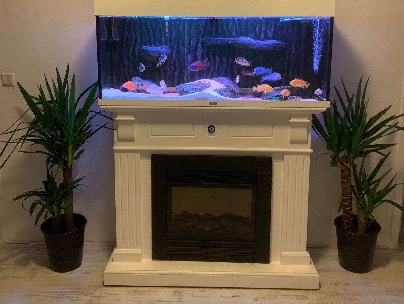 Juwel aquarium, Ophalen, Zo goed als nieuw, Gevuld zoetwateraquarium