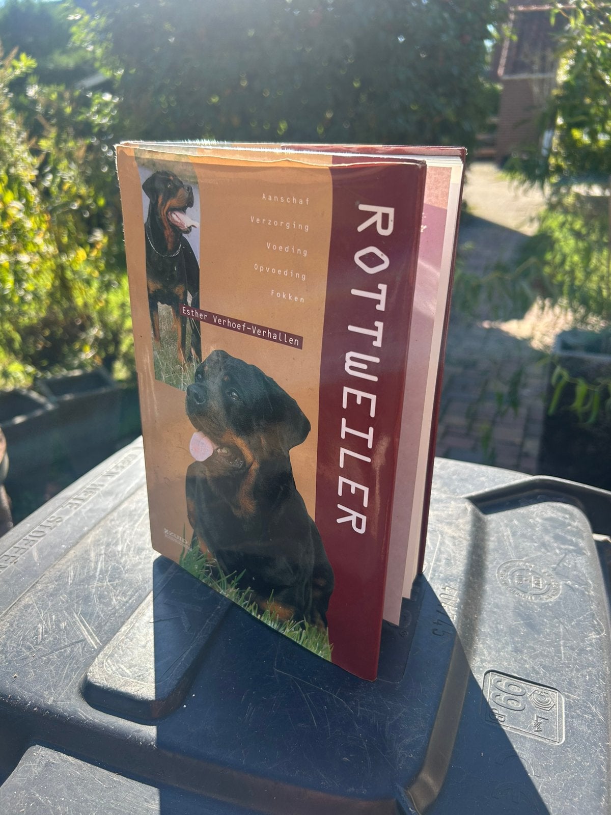 Rottweiler, Ophalen of Verzenden, Zo goed als nieuw, Honden