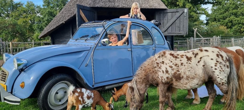 Citroën 2CV 0.6 Spec S6 1986 Blauw, Voorwielaandrijving, 602 cc, 2CV, Blauw