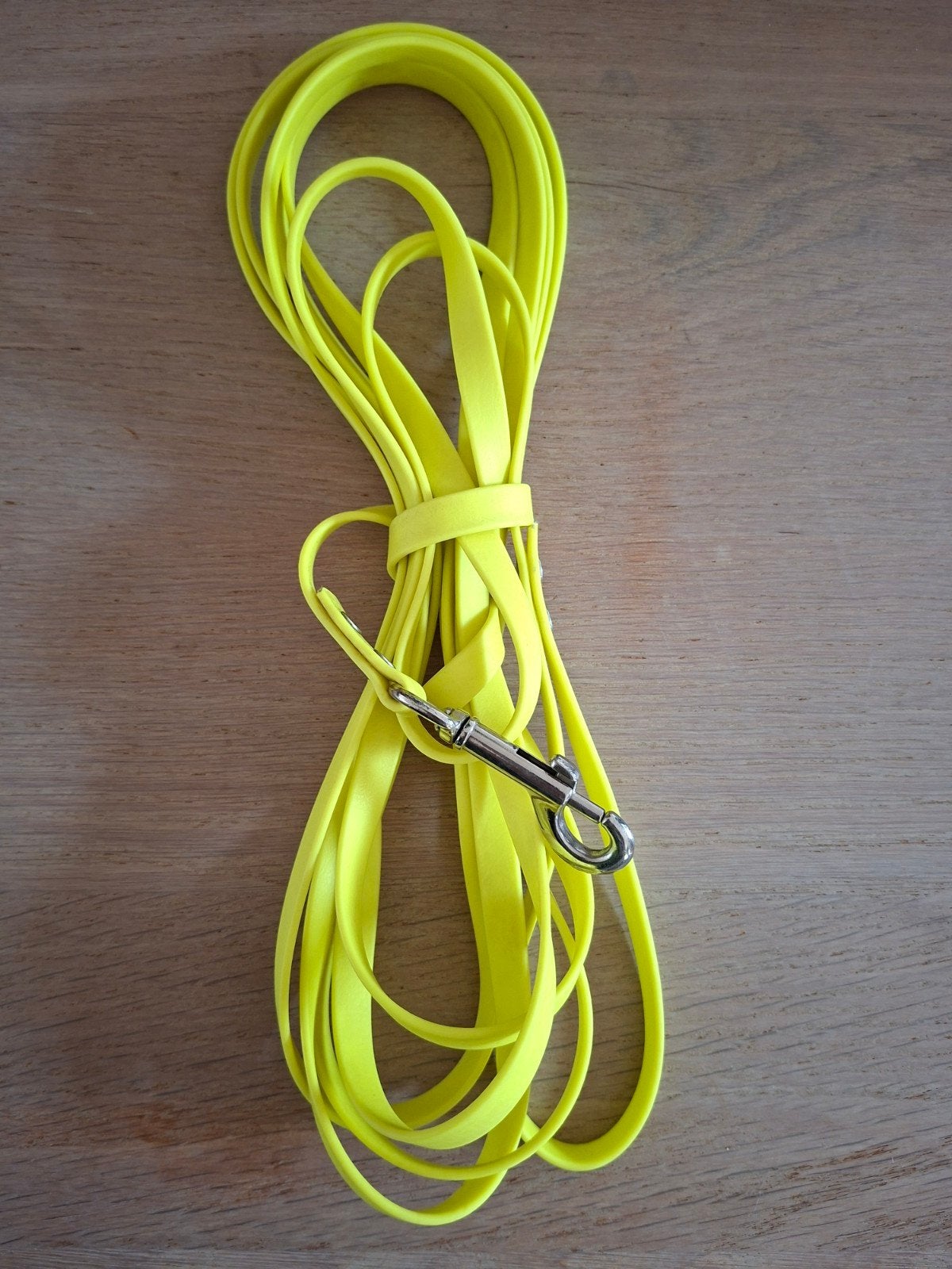 lange honden riem 5 meter, Ophalen of Verzenden, Nieuw