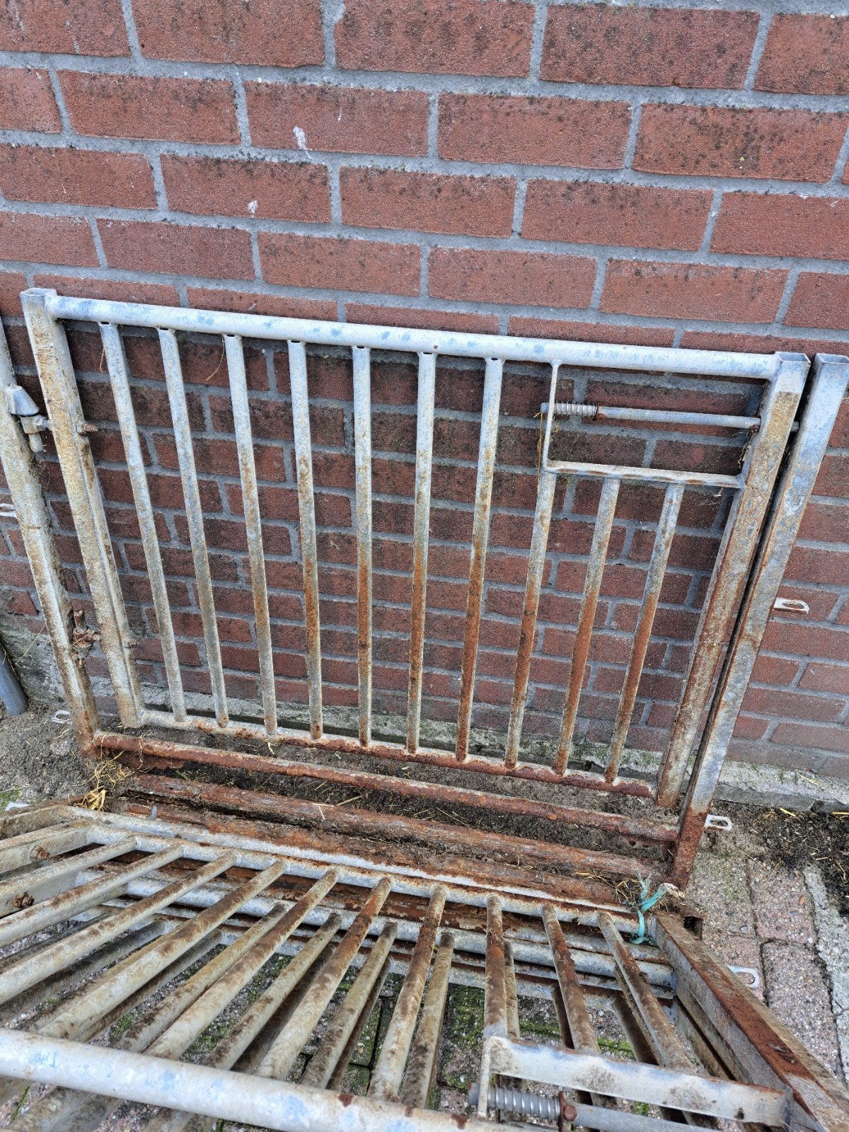 veno hekjes  4 stuks, Meerdere dieren, Schaap