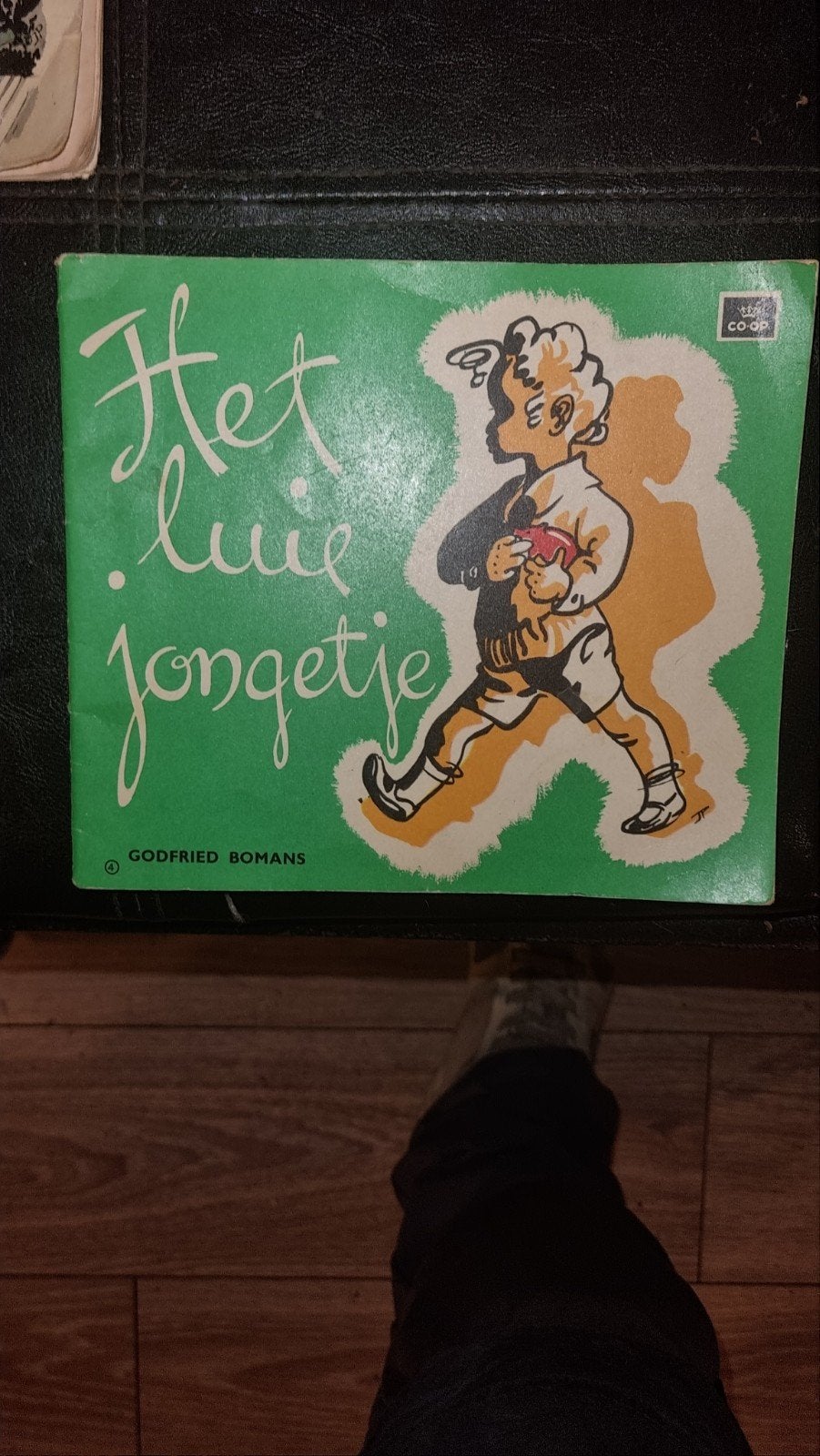 Het Luie Jongetje - Godfried Bomans, Boeken, Ophalen of Verzenden, Gelezen, Godfried Bomans, Fictie algemeen