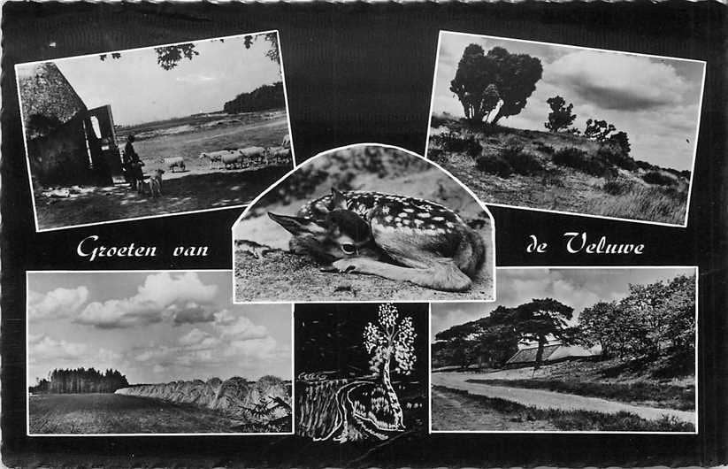 380-617-049 Veluwe, Verzenden, Voor 1920, Gelderland