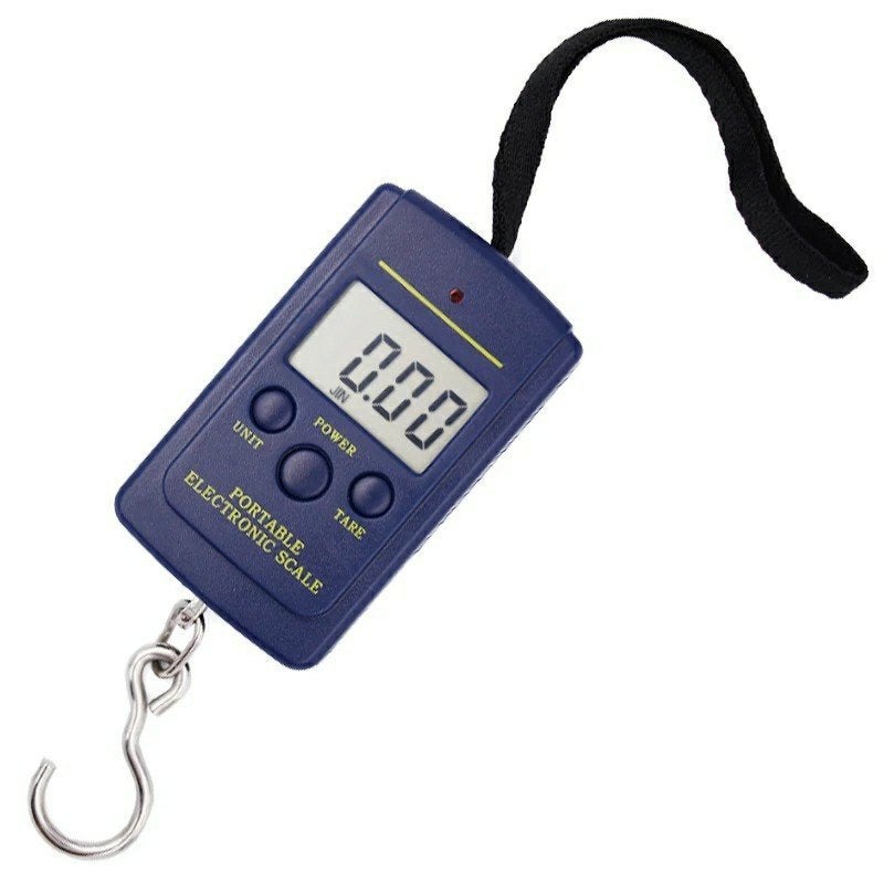 Te koop digitale vis weegschaal max 40 kilo weegt  per 10 gr, Ophalen of Verzenden, Nieuw